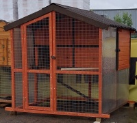 кур.15 рыжий