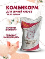 киров свиньи